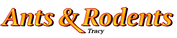 Tracy Ant Exterminator & Rodent Control Company Logo